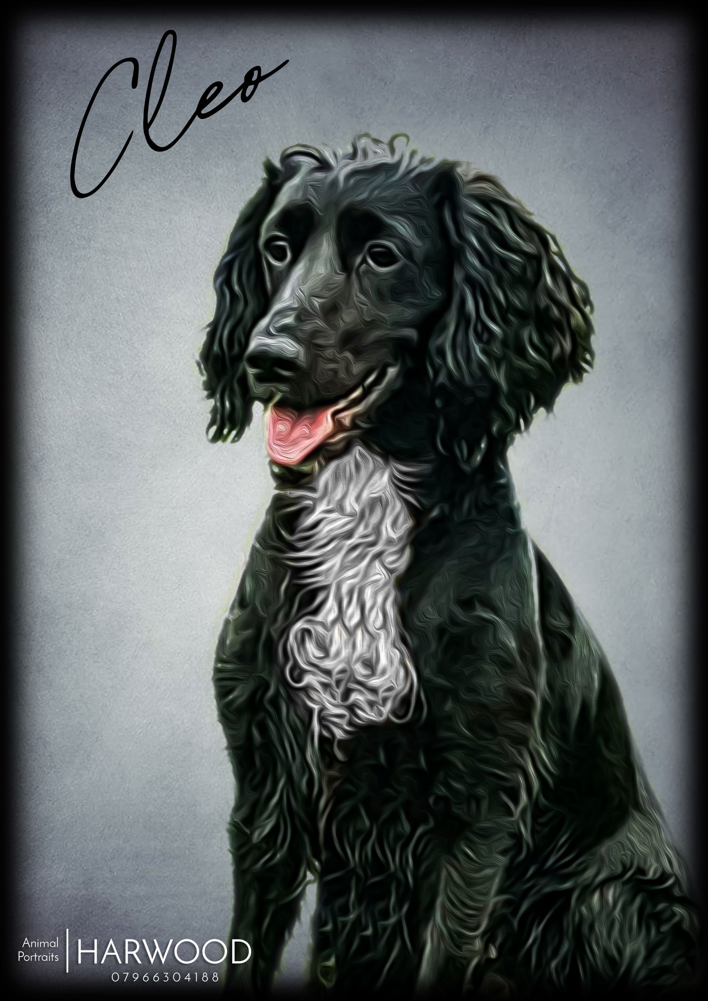 Finished Harwood portrait artwork of Cleo