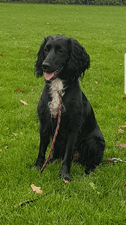 Original customer reference photo of Cleo