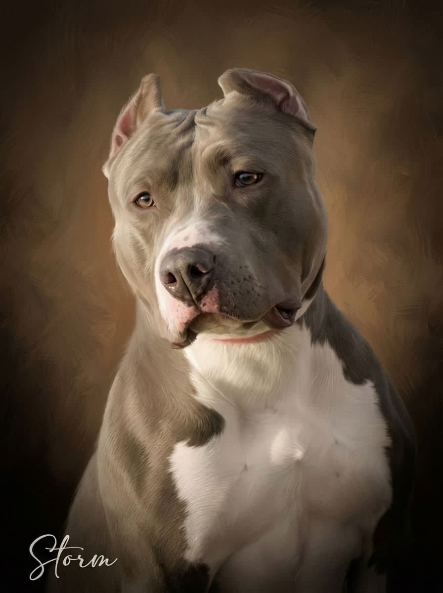 Storm custom pet portrait